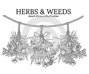 Three bouquets of medicinal herbs hanging on a cord