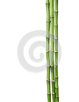 Tre da bambù 