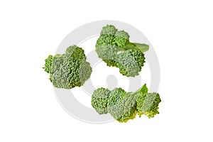 Three branches of fresh green broccoli isolated on white background without shadow