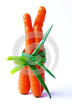 Three bright carrots wrapped in scallions
