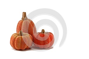 Three bright orange pumpkins - thanksgiving decoration