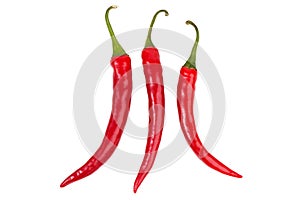 Three bright red chili peppers