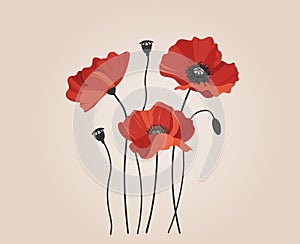 Three bright red poppies on a neutral beige background, creating a simple composition. Vector illustration for