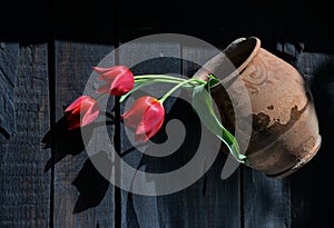 Red tulips in ancient clay pot