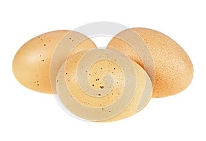 Three brown chicken eggs isolated on white background