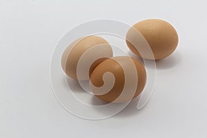 three brown chicken eggs on white background, free range egg copy space horizontal, organic food