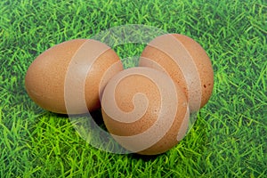 Three brown eggs on a green lawn