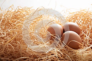 Three brown eggs in straw nest