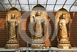 Three Buddhas on Dais photo