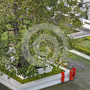 Three Buddhist Monks at Wat Arun, Bangkok, Thailand