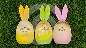 Three bunnies on green grass