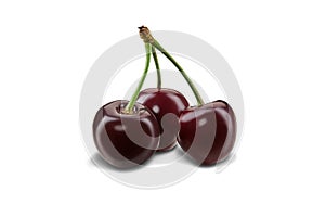 Three burgundy sweet cherries with stems isolated on white background. Close up, side view