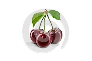 Three burgundy sweet cherry fruits with green leaves isolated on white background. Close up, side view