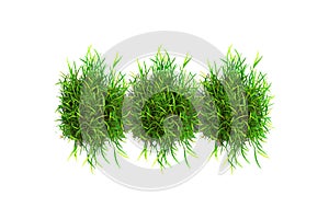 Three Bushy Green Grass Tufts. Vector illustration design photo