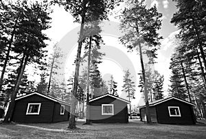 Three cabins in woods