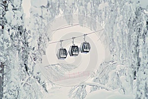 Three cable cars or gondola lifts going up the slope, pictured through the snow-covered trees. Beautiful snowy winter landscape in