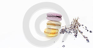 Three cakes macaroons of yellow, green and purple color and and sprigs of lavender on white background