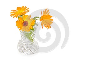 Three calendula flowers in cut-glass vase