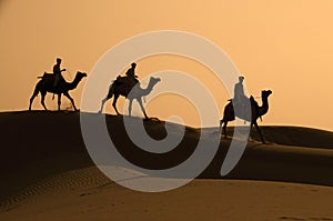 Three Camels And Jockeys Silhouetted Against The D