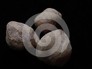 three candlenut, isolated on black