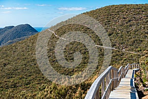 Three Capes Track leading to Cape Pillar, Tasmania