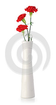 Three carnation flowers in white vase