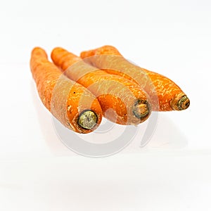 three carrot isolate on white background