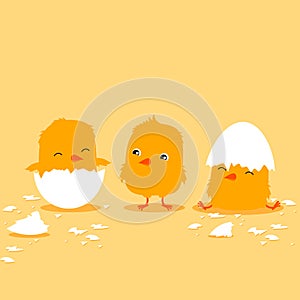Three cartoon baby chicks hatching. Cute illustration for children