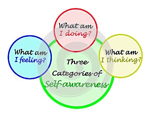 Categories of Self - awareness