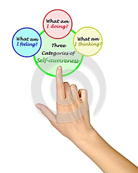 Categories of Self - awareness