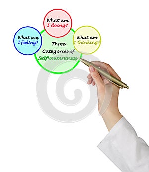 Categories of Self - awareness