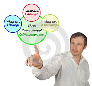 Categories of Self - awareness