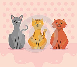 three cats characters