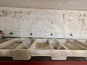 Three cement sinks used in some bygone era to wash clothes by hand
