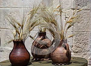 Three ceramic pots with spikelets, corn stand on the windowsill