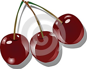 Three cherries photo