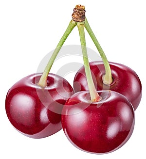 Three cherries. File contains clipping path.