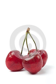 Three Cherries isolated on white background