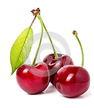 Three cherries with leaf closeup isolated on white background