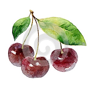 Three cherry berries on white background