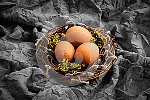 Three chicken eggs in bird`s nest decorated with spring twigs and flowers on gray background. Happy Easter concept