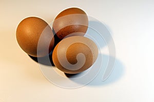 Three chicken eggs brown on white background