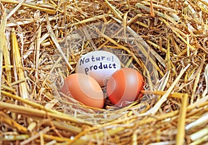 Three chicken eggs natural product