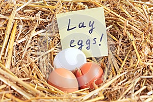 Three chicken eggs and a note