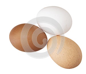 Three chicken, hens eggs isolated on white. Different colors: brown white and speckled.