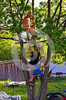 Three child playing on tree on sunny summer day
