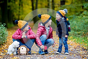 Three children, boys, siblings playing in park  on sunny autumn day