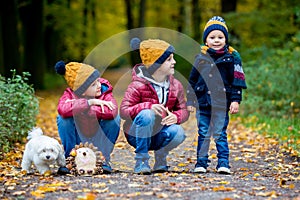 Three children, boys, siblings playing in park  on sunny autumn day