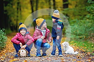 Three children, boys, siblings playing in park  on sunny autumn day