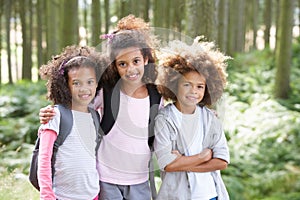 Three Children Exploring Woods Together